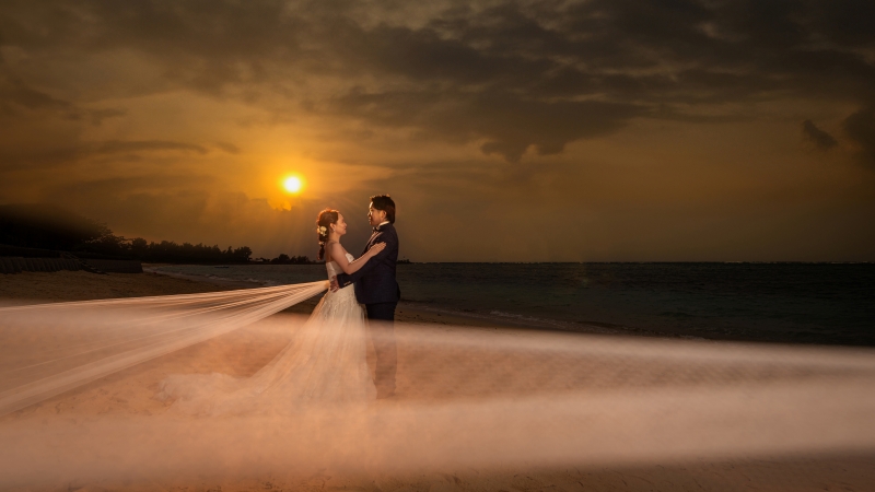 アーティスティックな一枚