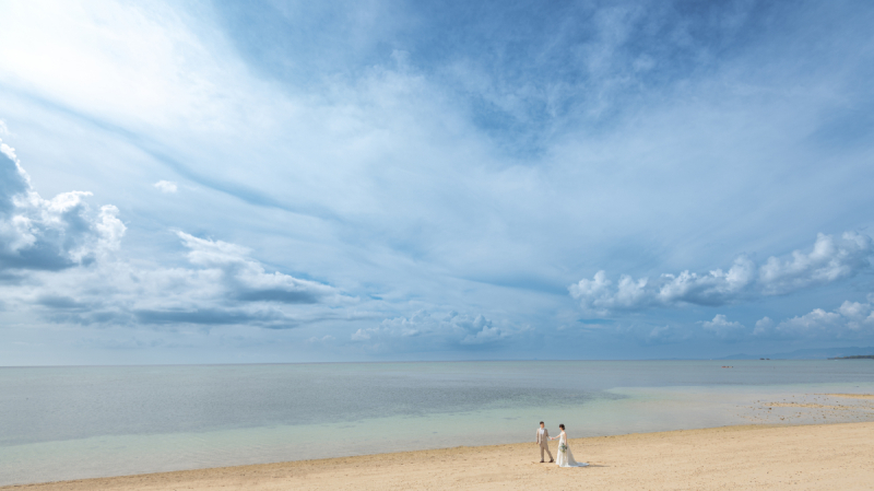 海と空が広がるワンッ