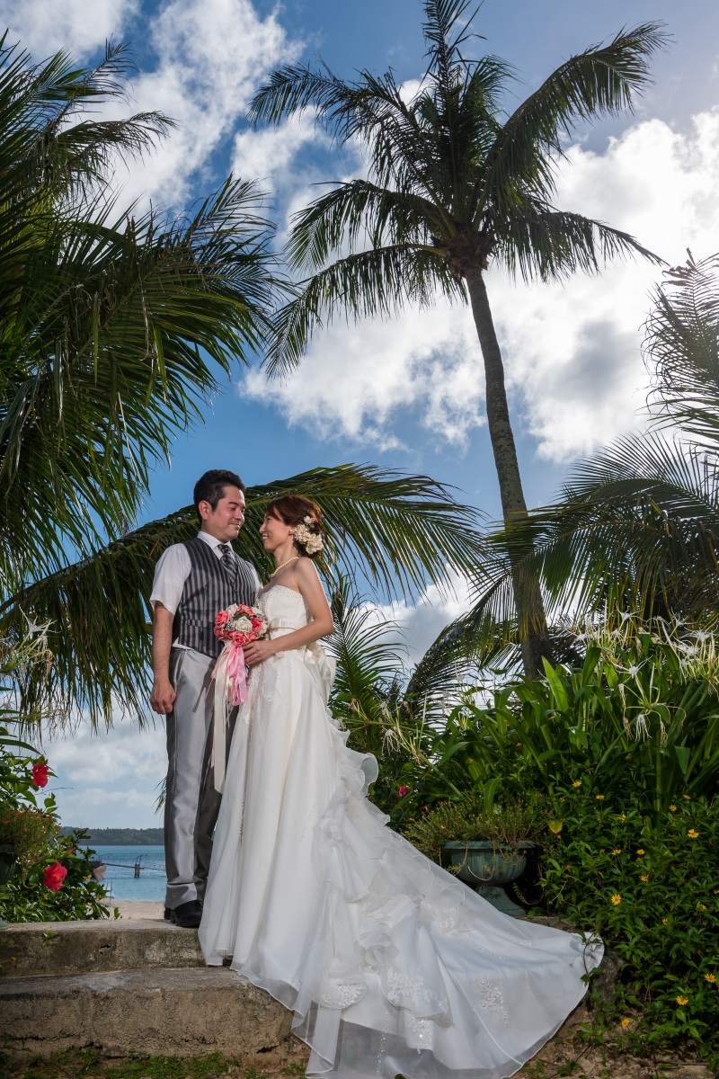 絵のような一枚