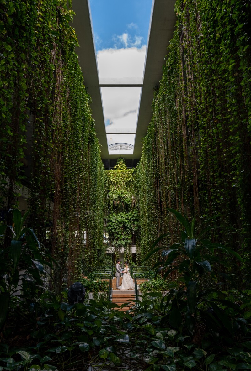 美しい写真を永遠に