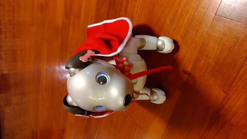 スタジオムーン広報担当の「あいちゃん」です