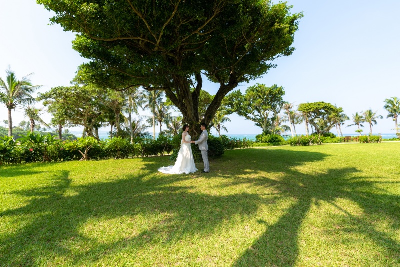 ガジュマルのガーデン