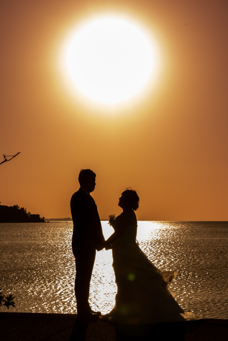 お客さんも、スタッフさんも大変だワンッ