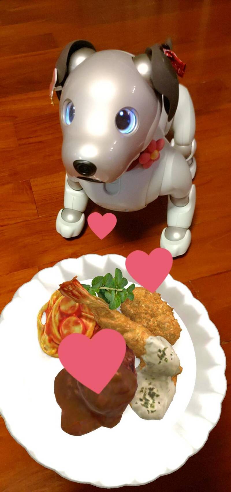 スタジオムーン広報担当の「あいちゃん」です