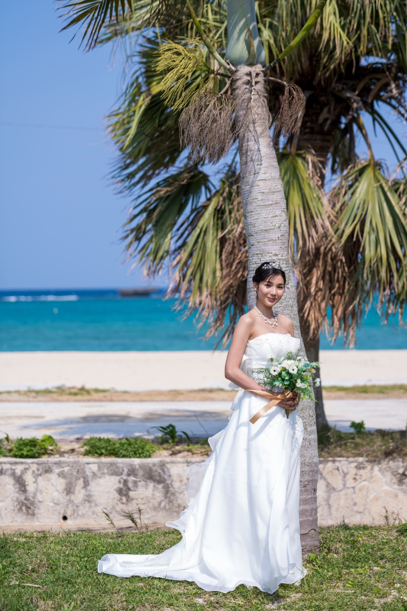 美しいソロショット