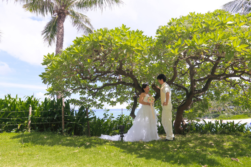 グリーンの樹の中で