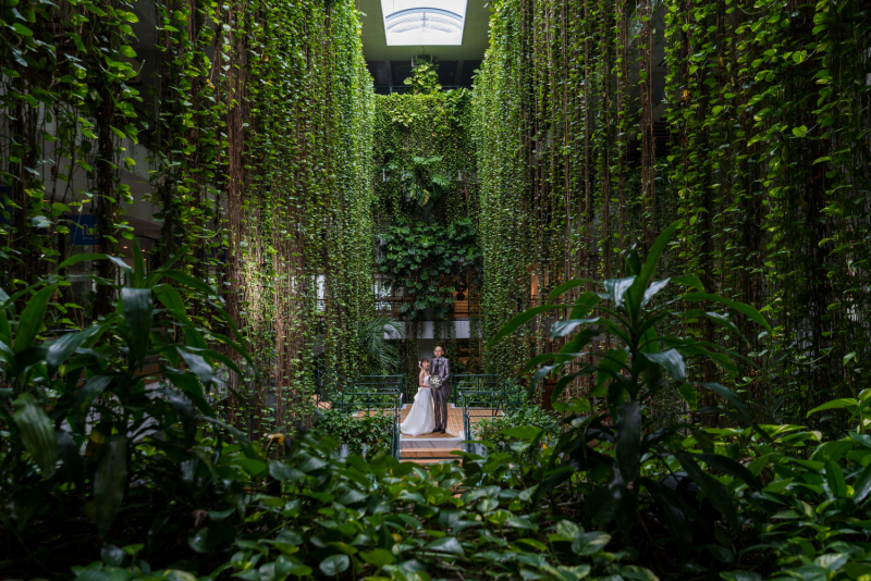 美しい写真を永遠に