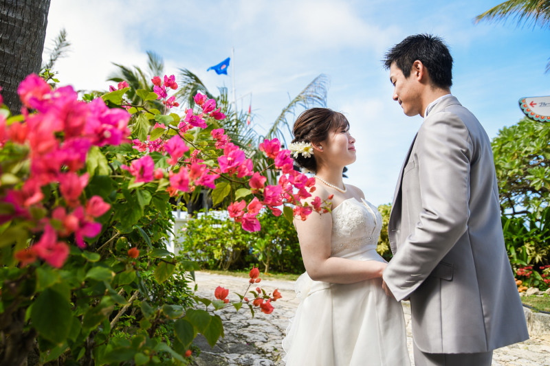 ブーゲンビリア カラフルな花々