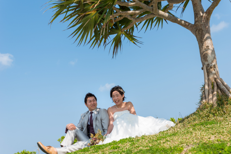 さわやかな日差し