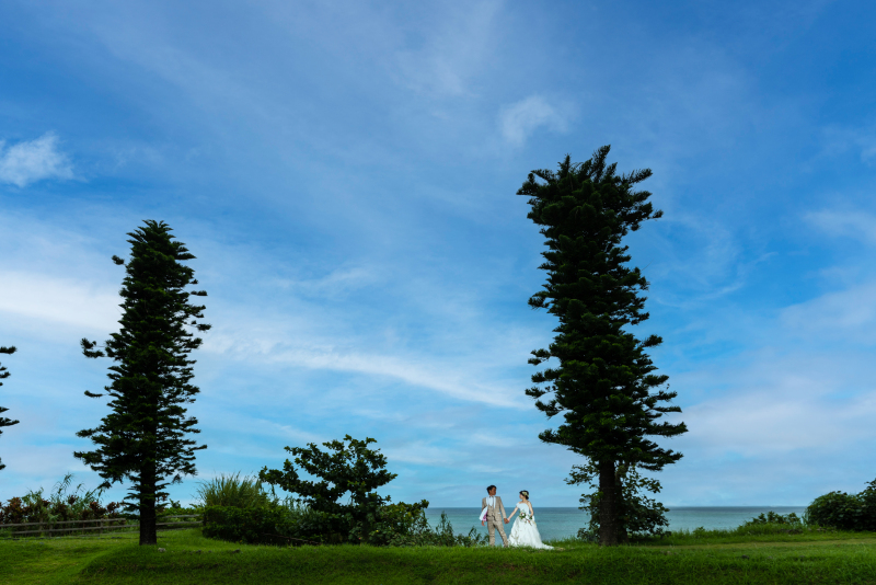 大きな木の下で