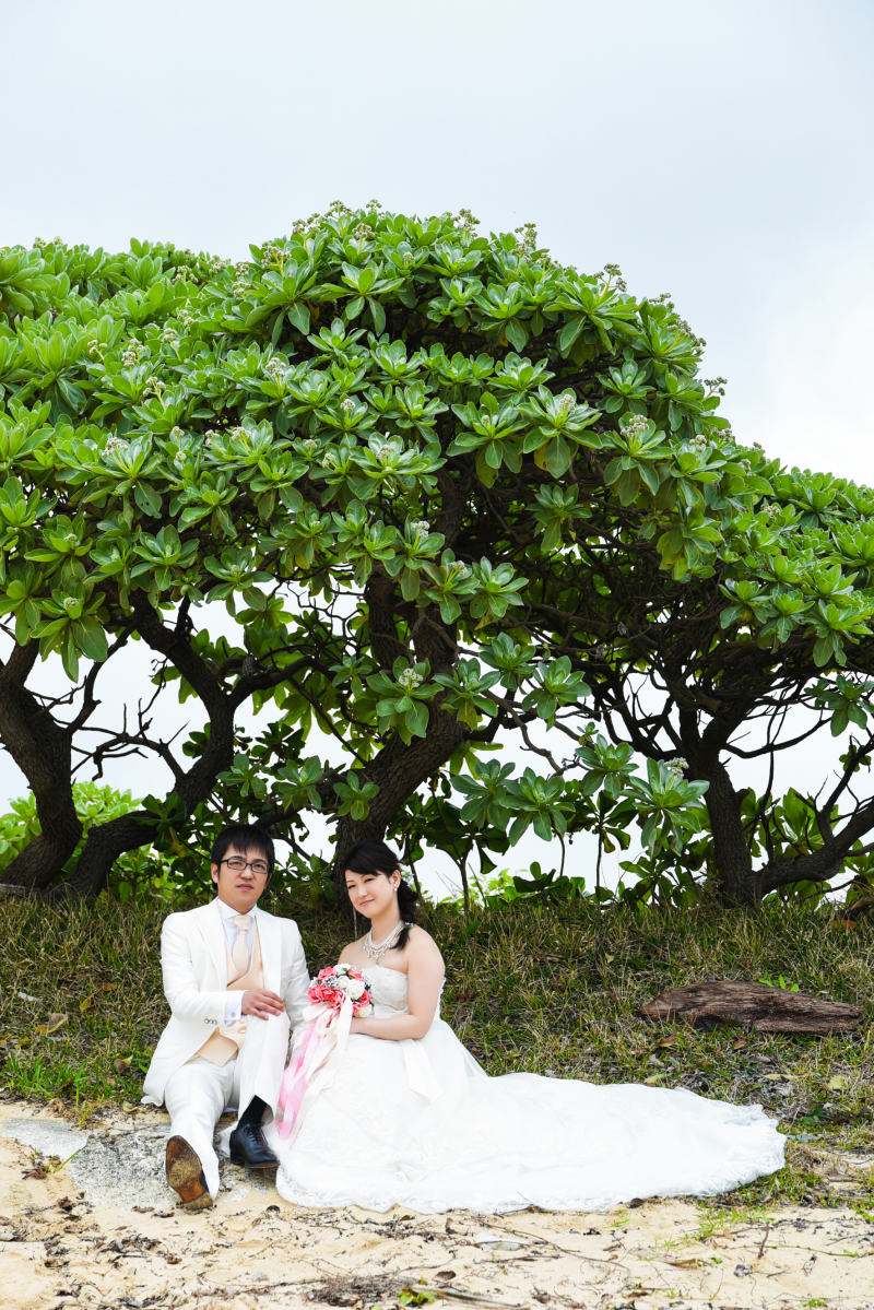 緑バックにフォーマルな表情で