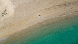 これからもなかよし