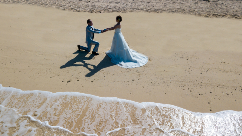 最後は愛情だと思うワンッ