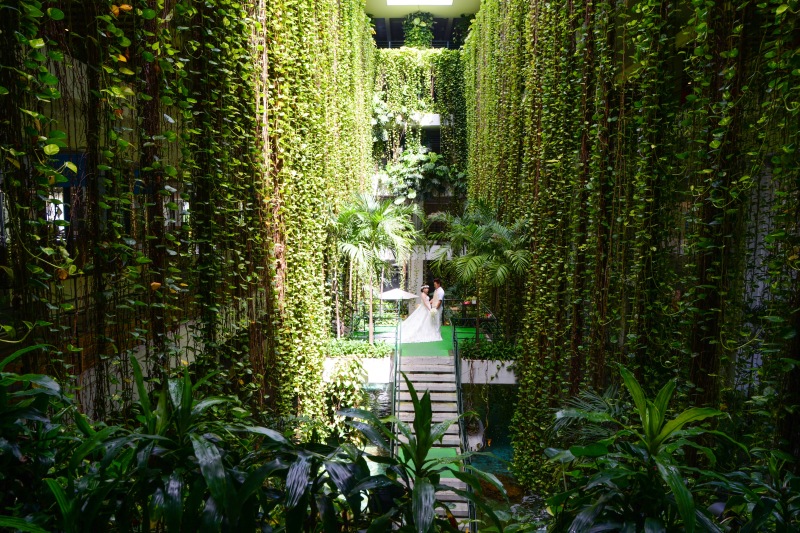 美しいしだれポトスに囲まれた、ホテル館内フォト