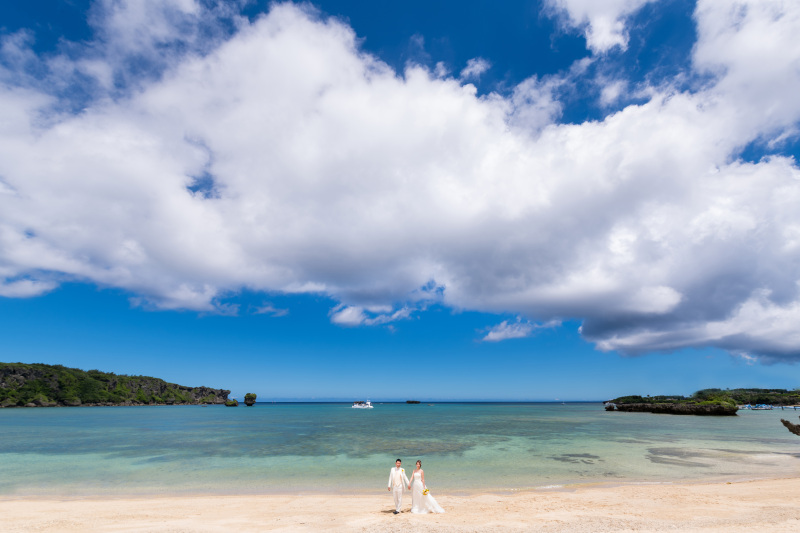 引きのショットも、少し緑を入れても素敵です