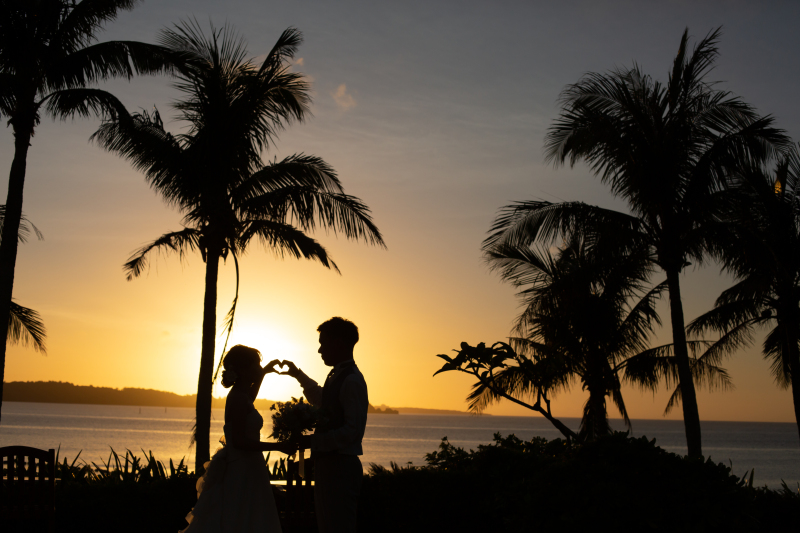 美しい写真を永遠に