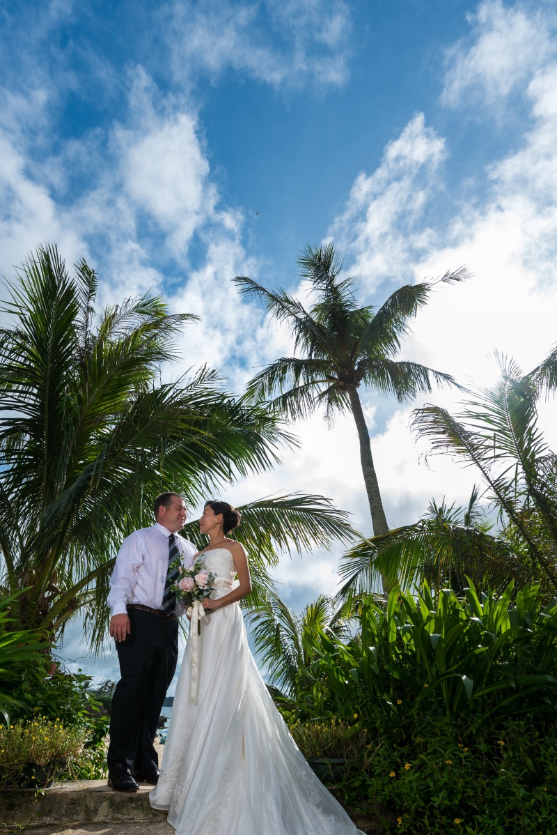 海辺のヤシの木