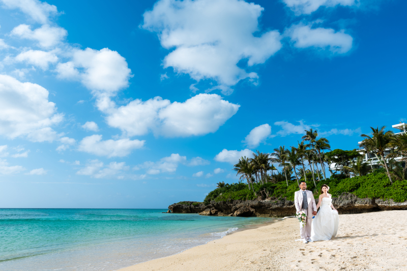 ヤシの木とお散歩