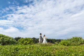 海と緑と優しさ