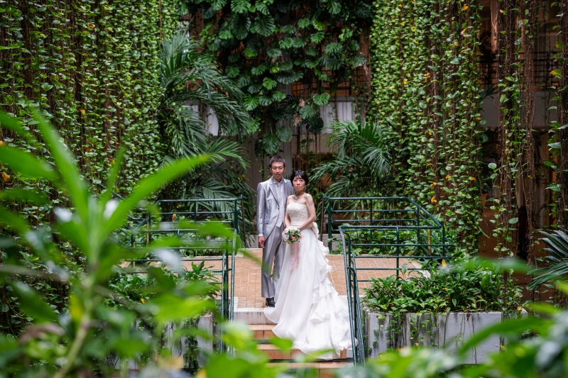 10Mものしだれポトス