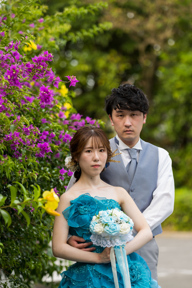 色とりどりの花々