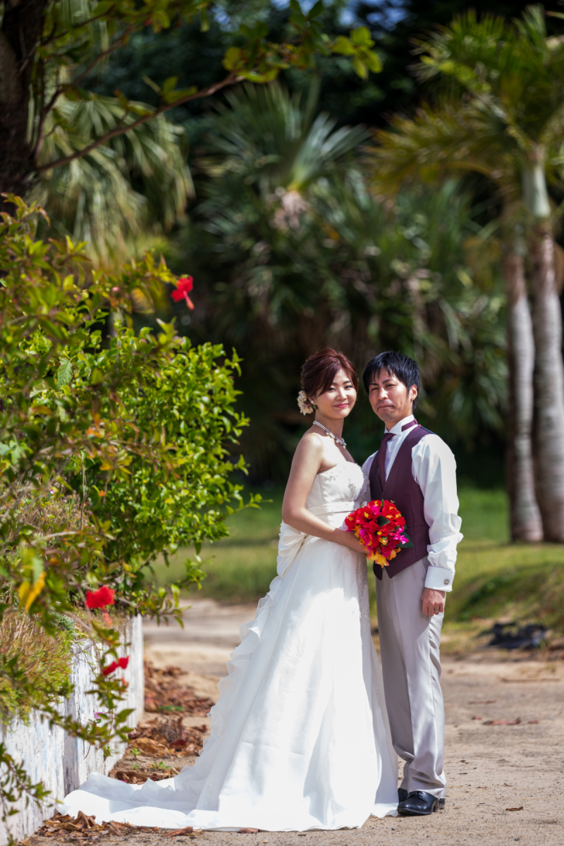 ハイビスカスと共に