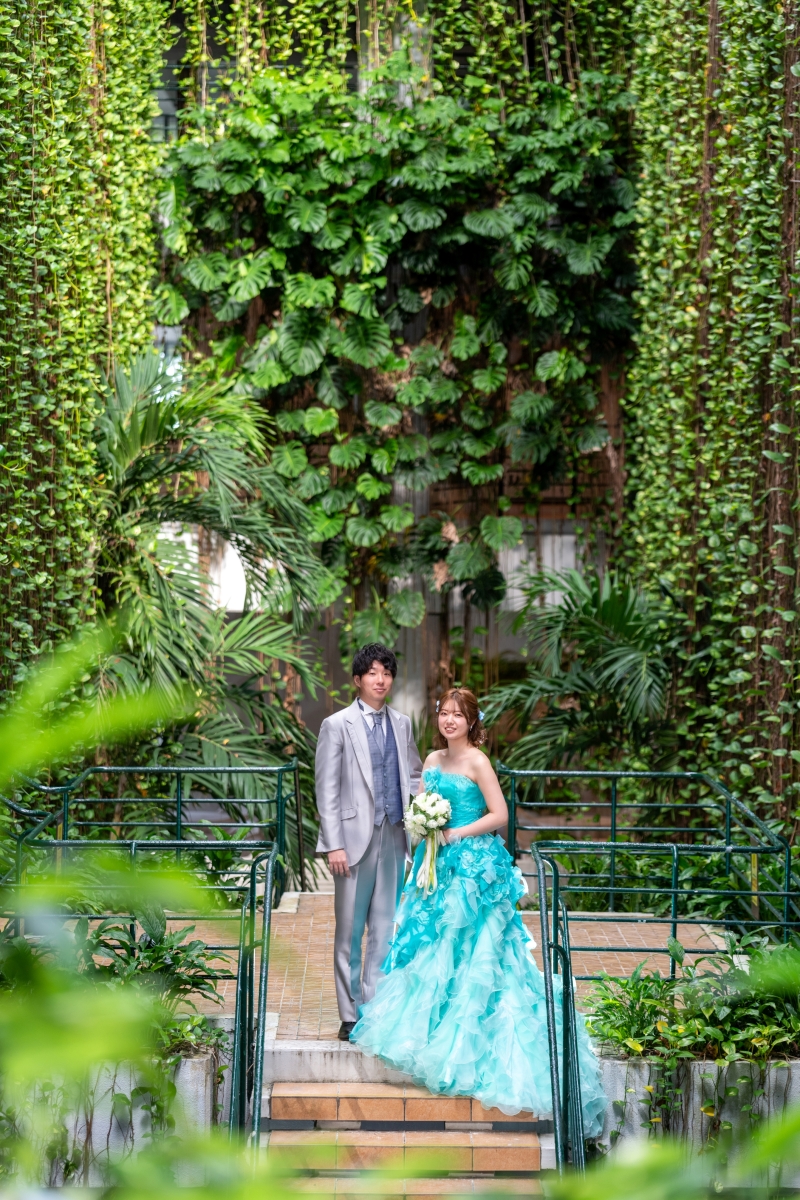 緑のシャワーのようなスポット