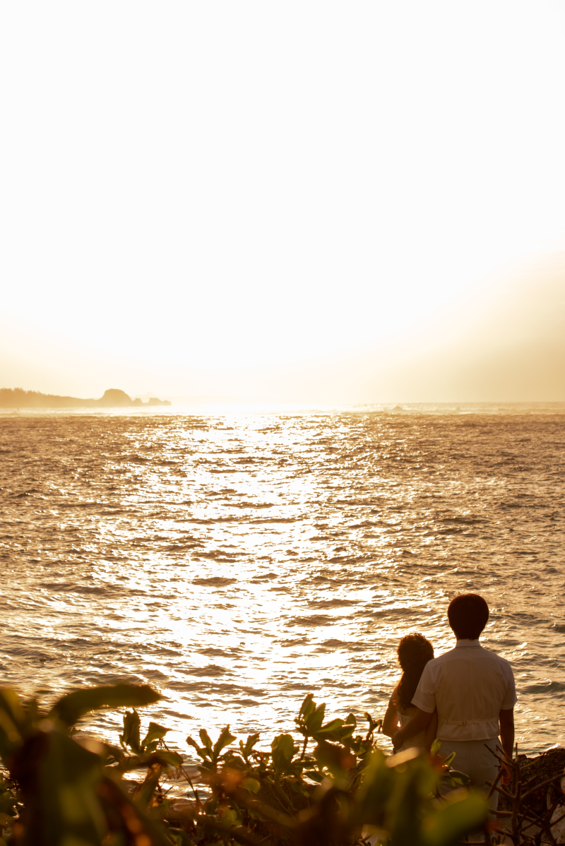美しい写真を永遠に