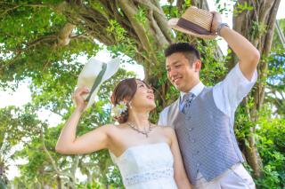 鮮やかなグリーンとブルーの世界で