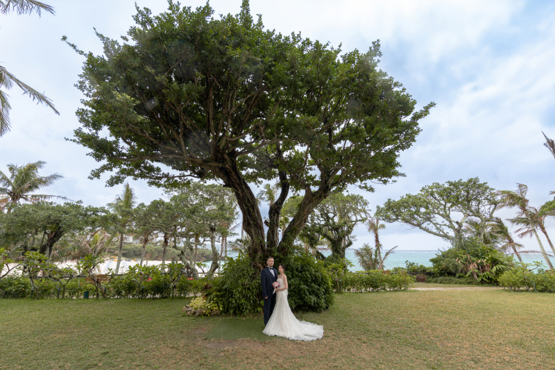 ガーデンフォト