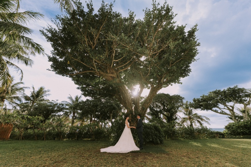 ガジュマルのガーデン