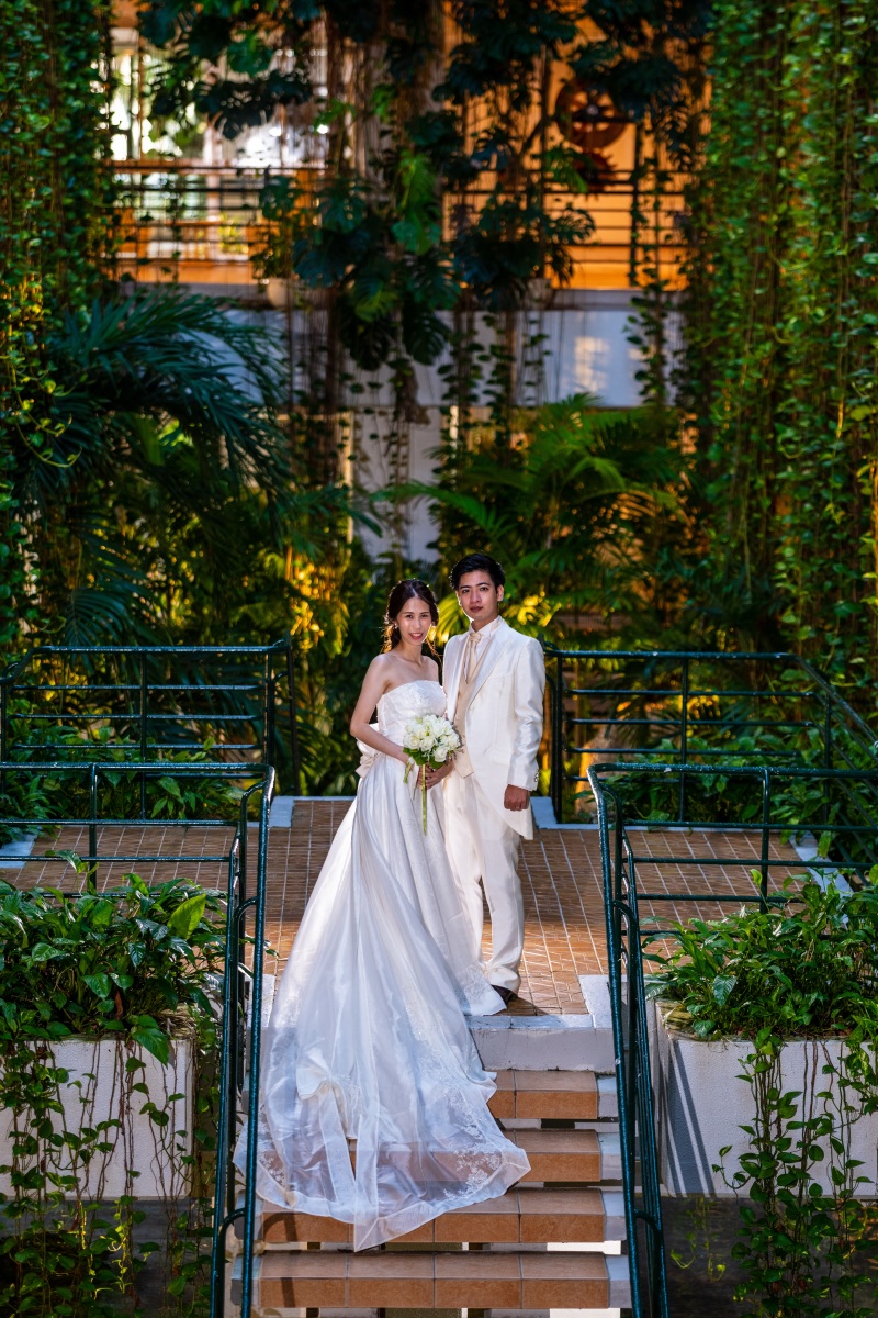 ドレストレーン