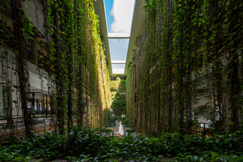 1700組撮影すると、楽しいワンッ