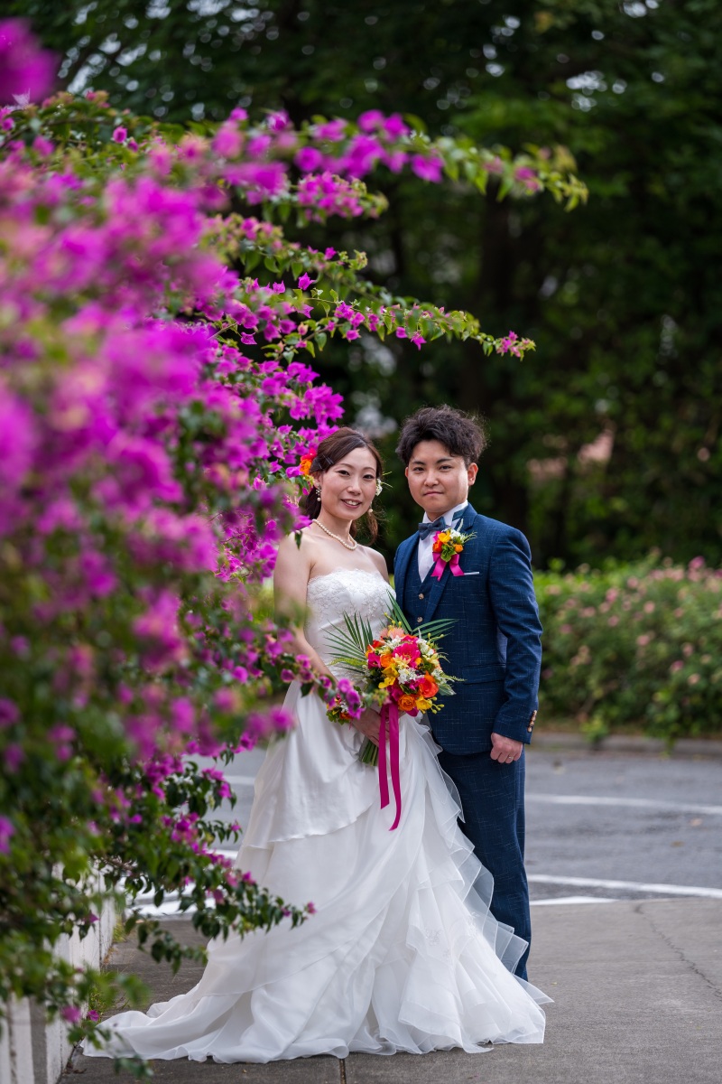 鮮やかなブーゲンビリア