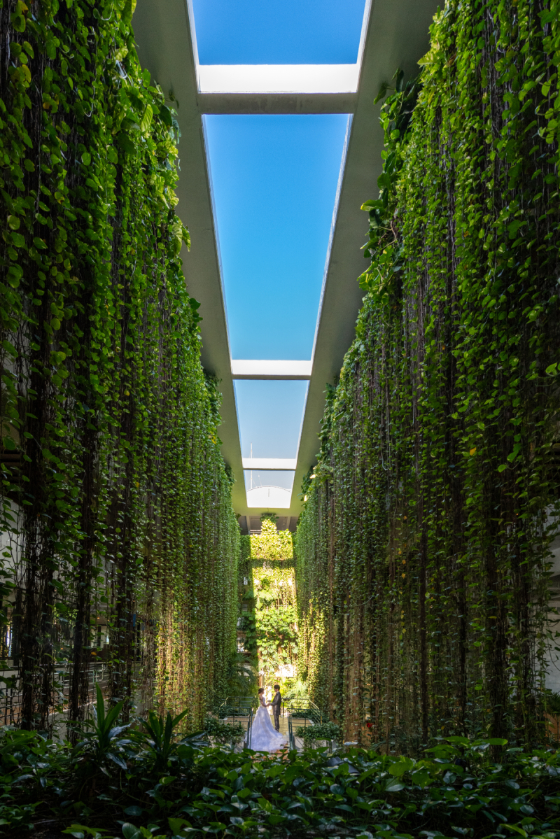 クリエーターのYassyです。