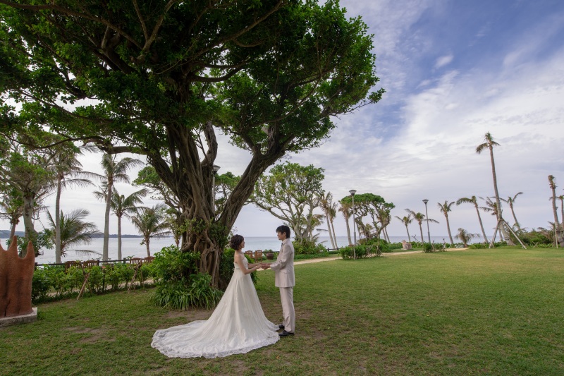 ガジュマルの誓い