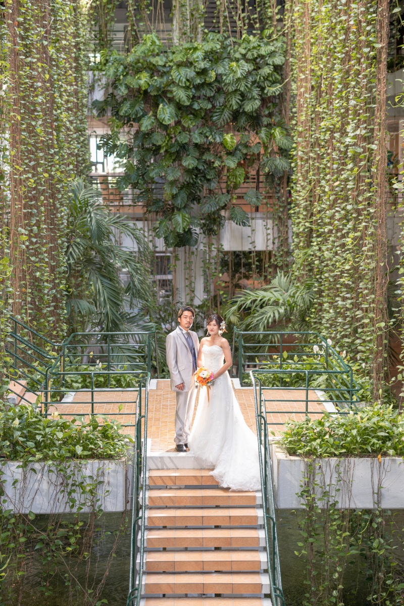 ポトスとモンステラ