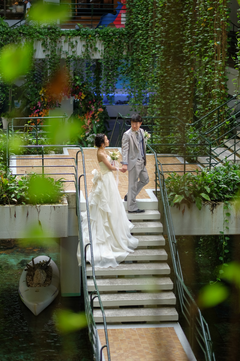 一生の思い出に