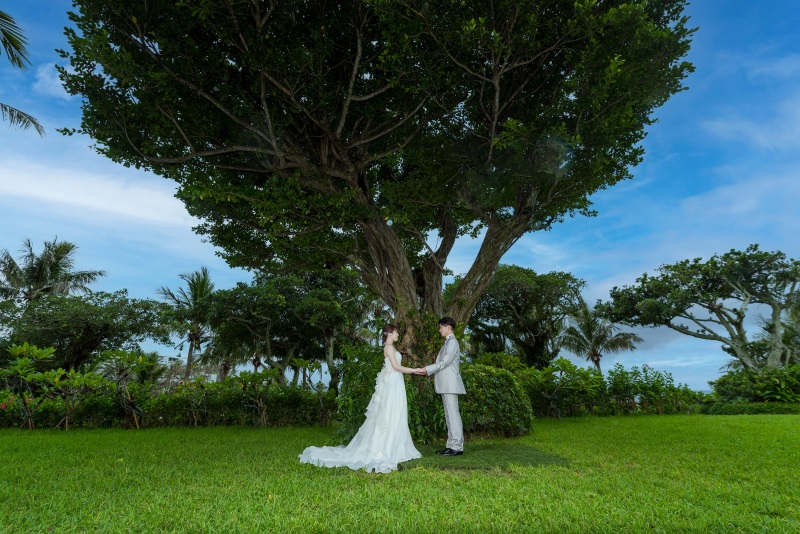 大きな木の下で