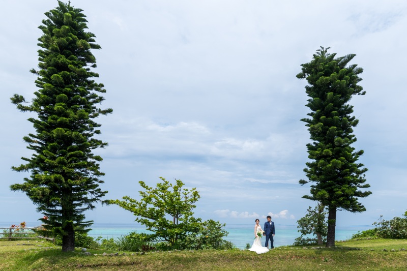 大きな木の下で