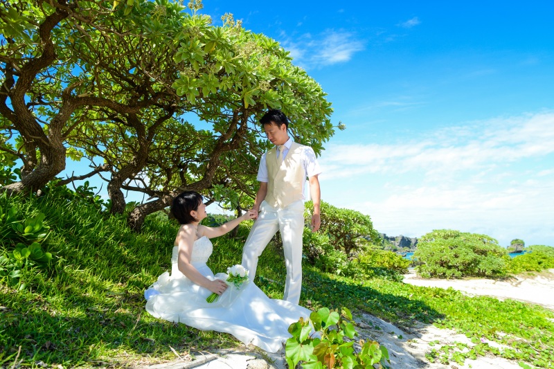 自然の中で愛情あふれるシーンを