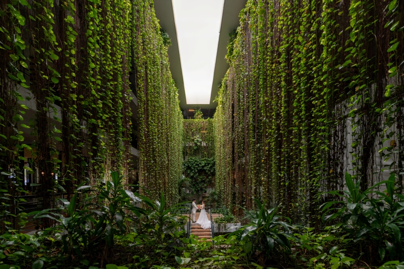 緑深いポトスに包まれて