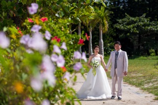 青と緑のロケーション