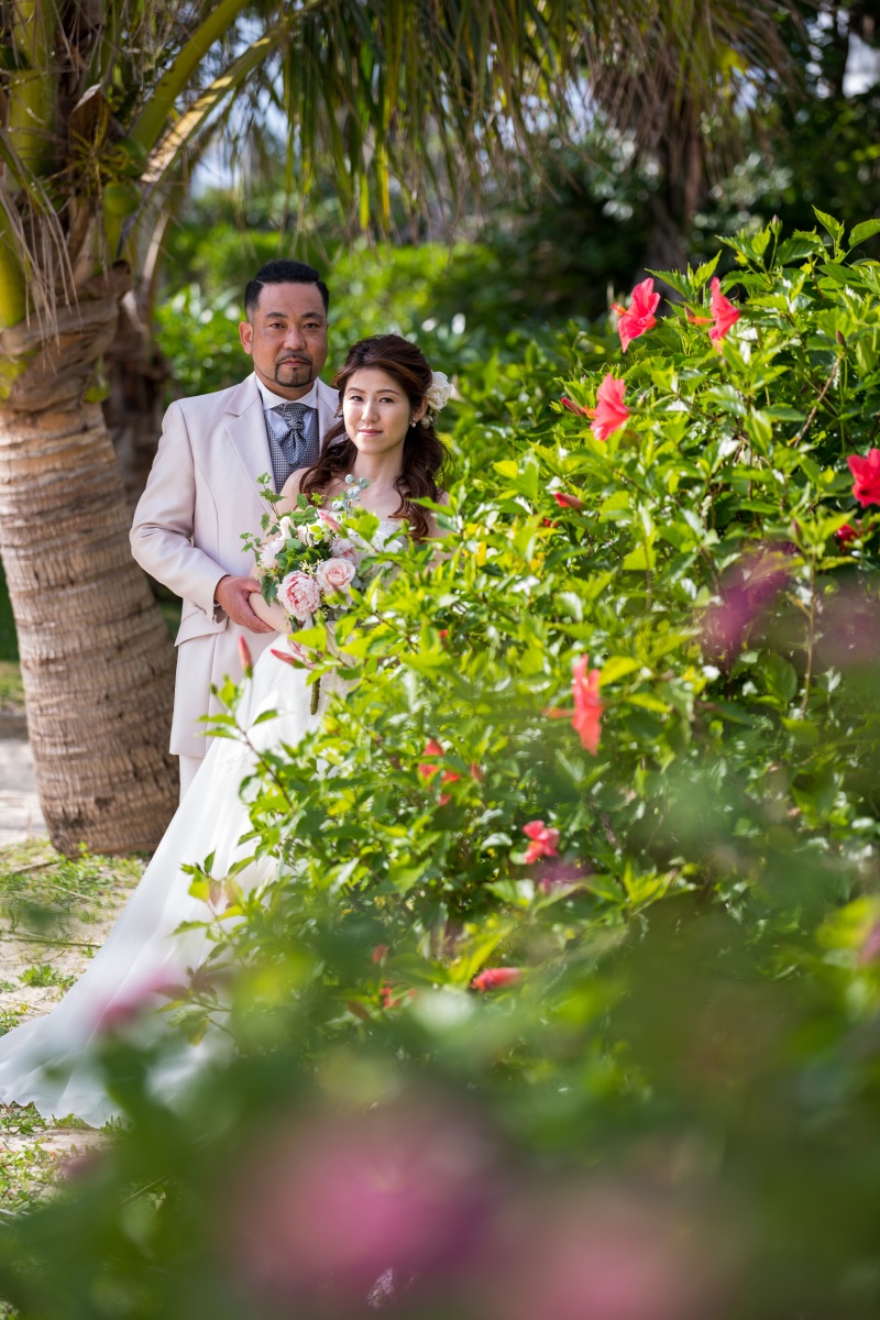 赤いハイビスカス