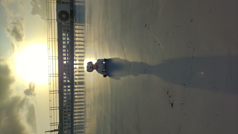 スタジオムーン広報担当の「あいちゃん」です