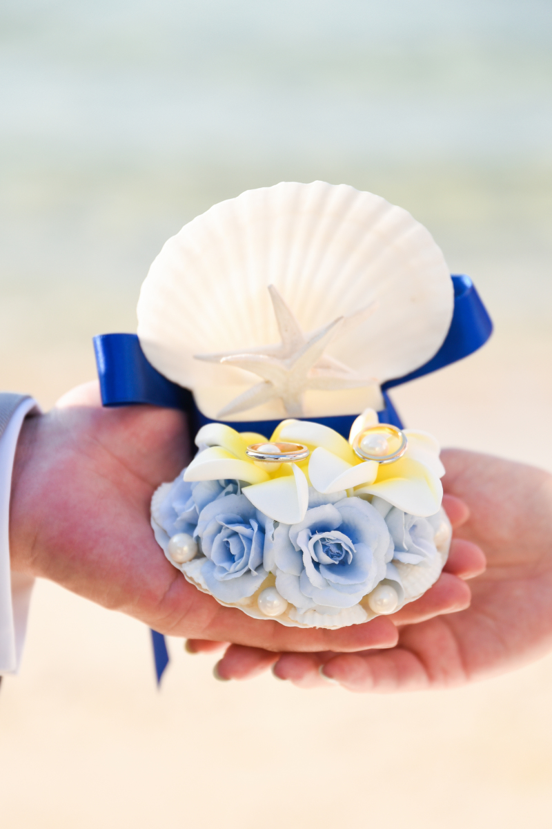 理想と現実と想像力と創造力