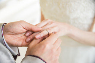 美しさは白鳥のごとく…