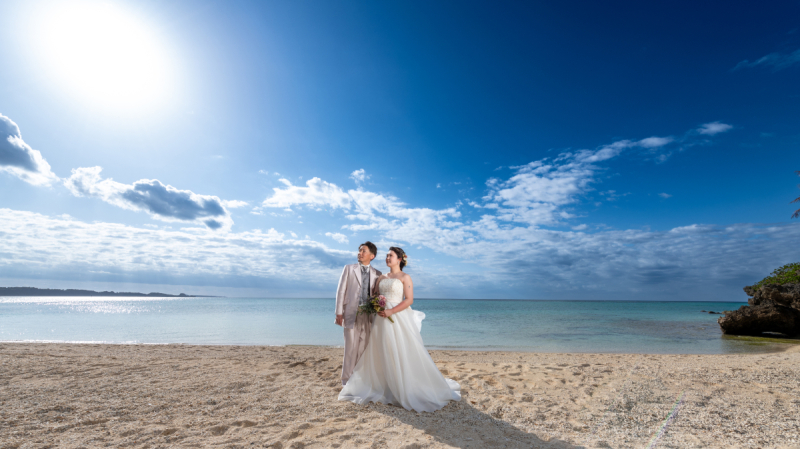 自然の光も活用しているワンッ