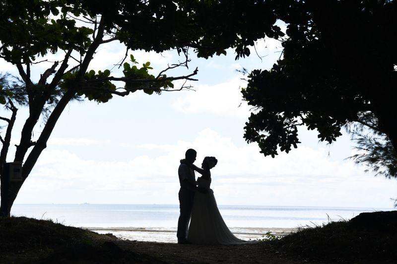 絵画のようなシルエット