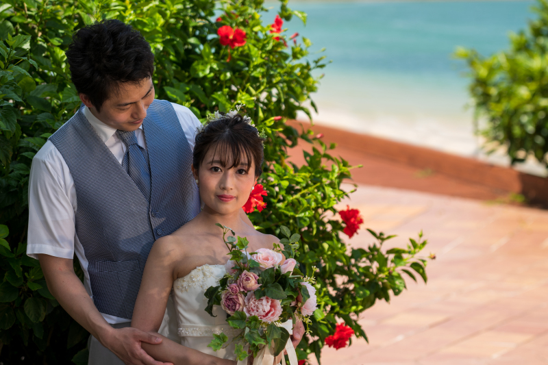 赤いハイビスカス